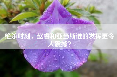 绝杀时刻，赵睿和亚当斯谁的发挥更令人震撼？