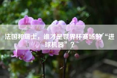 法国和瑞士，谁才是世界杯赛场的“进球机器”？