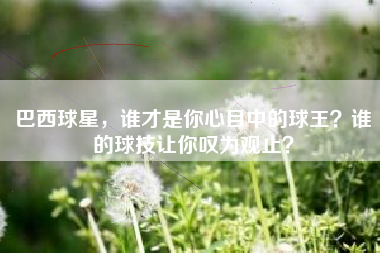 巴西球星，谁才是你心目中的球王？谁的球技让你叹为观止？