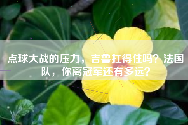 点球大战的压力，吉鲁扛得住吗？法国队，你离冠军还有多远？
