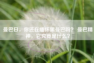曼巴日，你还在缅怀黑曼巴吗？ 曼巴精神，它究竟是什么？
