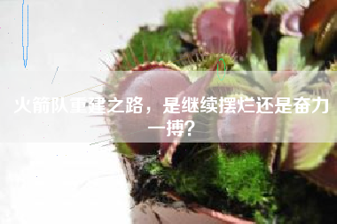 火箭队重建之路，是继续摆烂还是奋力一搏？