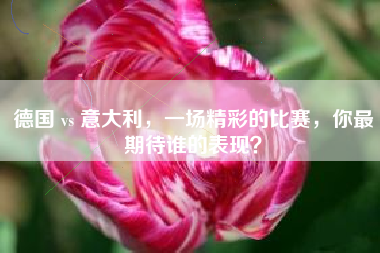德国 vs 意大利，一场精彩的比赛，你最期待谁的表现？