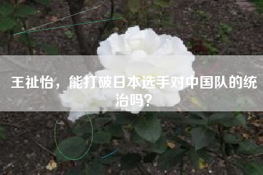 王祉怡，能打破日本选手对中国队的统治吗？