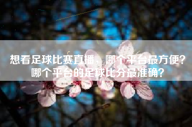 想看足球比赛直播，哪个平台最方便？哪个平台的足球比分最准确？