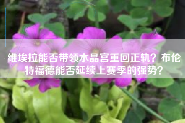 维埃拉能否带领水晶宫重回正轨？布伦特福德能否延续上赛季的强势？