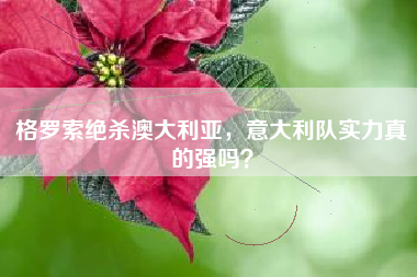 格罗索绝杀澳大利亚，意大利队实力真的强吗？