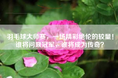 羽毛球大师赛，一场精彩绝伦的较量！谁将问鼎冠军，谁将成为传奇？