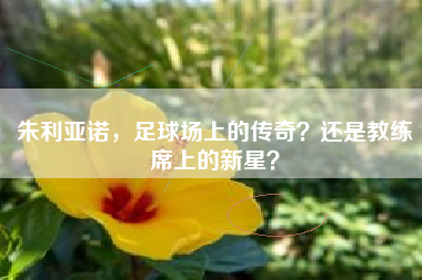 朱利亚诺，足球场上的传奇？还是教练席上的新星？