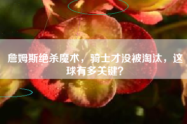 詹姆斯绝杀魔术，骑士才没被淘汰，这球有多关键？