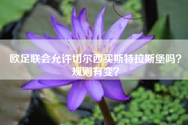 欧足联会允许切尔西买斯特拉斯堡吗？规则有变？
