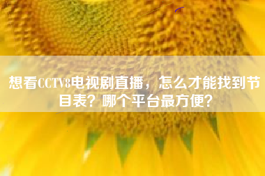 想看CCTV8电视剧直播，怎么才能找到节目表？哪个平台最方便？