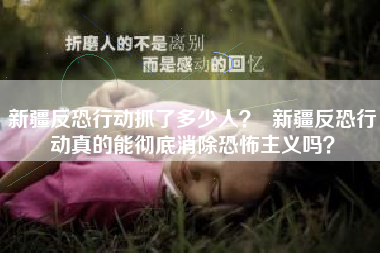 新疆反恐行动抓了多少人？  新疆反恐行动真的能彻底消除恐怖主义吗？
