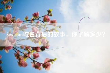 Sex.com域名背后的故事，你了解多少？