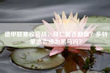 德甲联赛收官战，拜仁能否翻盘？多特蒙德会成为黑马吗？
