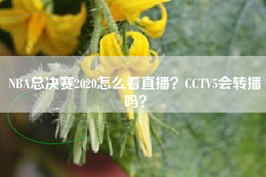 NBA总决赛2020怎么看直播？CCTV5会转播吗？