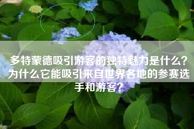 多特蒙德吸引游客的独特魅力是什么？为什么它能吸引来自世界各地的参赛选手和游客？