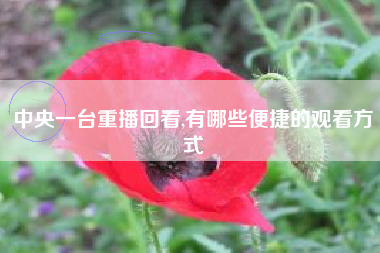 中央一台重播回看,有哪些便捷的观看方式