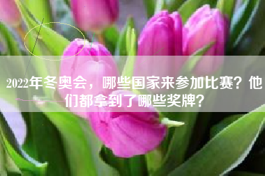 2022年冬奥会，哪些国家来参加比赛？他们都拿到了哪些奖牌？