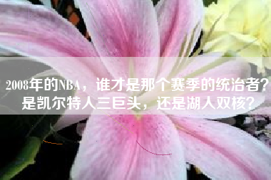 2008年的NBA，谁才是那个赛季的统治者？是凯尔特人三巨头，还是湖人双核？
