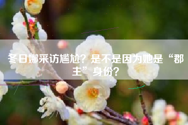 冬日娜采访尴尬？是不是因为她是“郡主”身份？