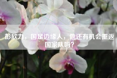 彭欣力，国足边缘人，他还有机会重返国家队吗？