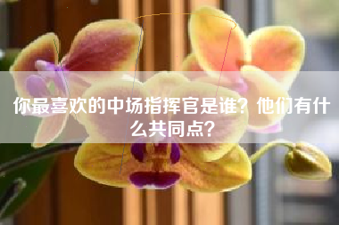 你最喜欢的中场指挥官是谁？他们有什么共同点？