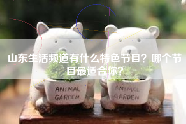 山东生活频道有什么特色节目？哪个节目最适合你？