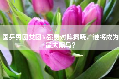 国乒男团女团16强赛对阵揭晓，谁将成为最大黑马？