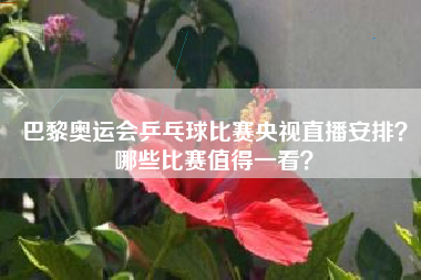巴黎奥运会乒乓球比赛央视直播安排？哪些比赛值得一看？