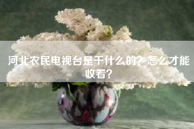 河北农民电视台是干什么的？怎么才能收看？