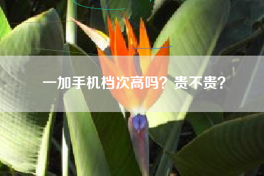 一加手机档次高吗？贵不贵？