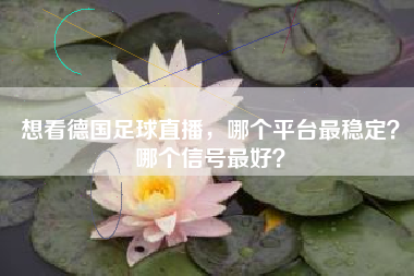 想看德国足球直播，哪个平台最稳定？哪个信号最好？