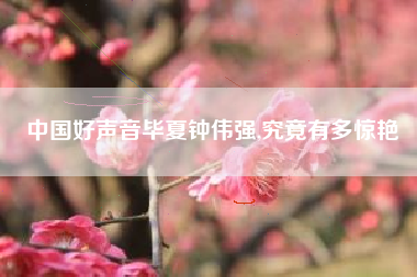 中国好声音毕夏钟伟强,究竟有多惊艳