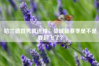 哈兰德首秀就进球，曼城新赛季是不是要起飞了？