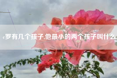 c罗有几个孩子,他最小的两个孩子叫什么