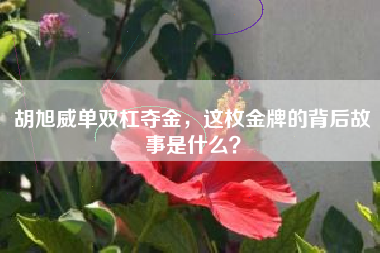 胡旭威单双杠夺金，这枚金牌的背后故事是什么？
