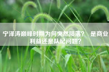 宁泽涛巅峰时期为何突然陨落？  是商业利益还是队纪问题？
