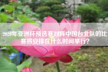 2020年亚洲杯预选赛对阵中国台北队的比赛将安排在什么时间举行？