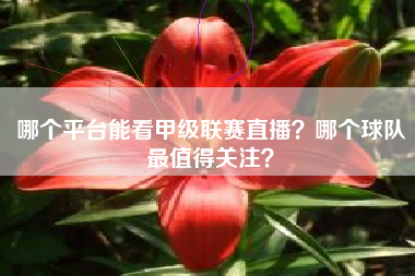 哪个平台能看甲级联赛直播？哪个球队最值得关注？